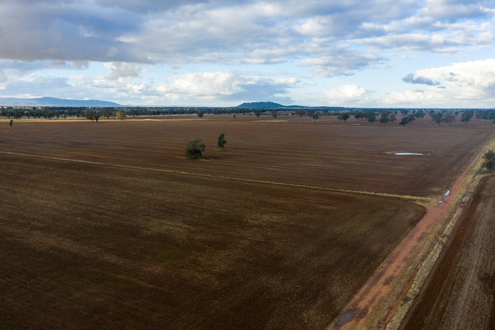 Young, NSW, 2594 - Image 6