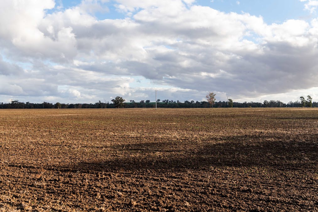 Young, NSW, 2594 - Image 8