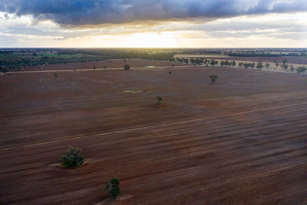 Young, NSW, 2594 - Image 9