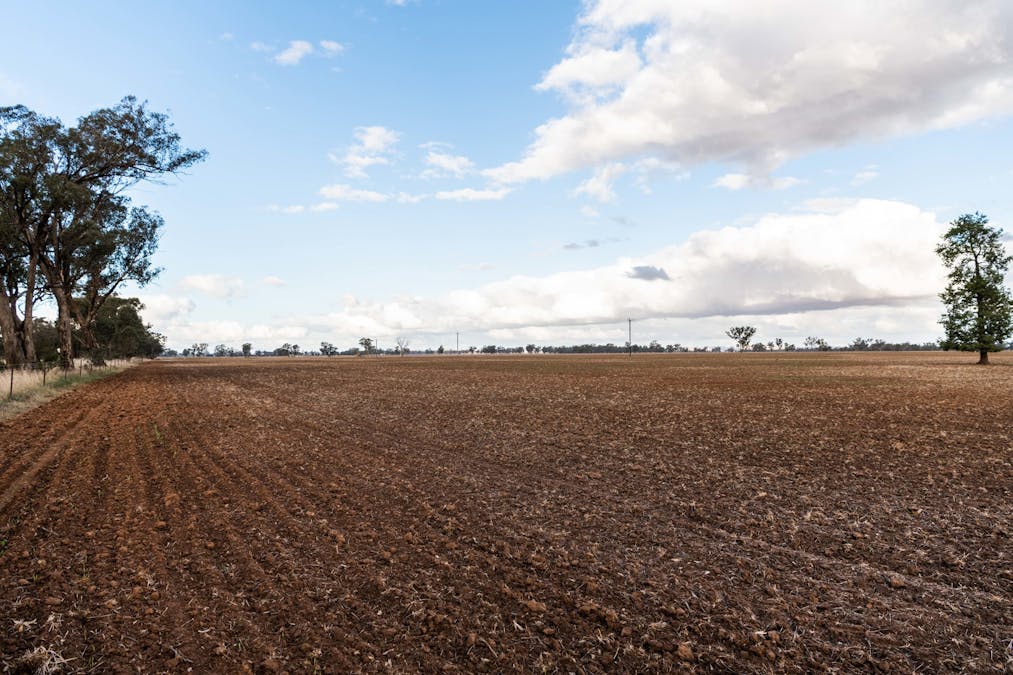 Young, NSW, 2594 - Image 11