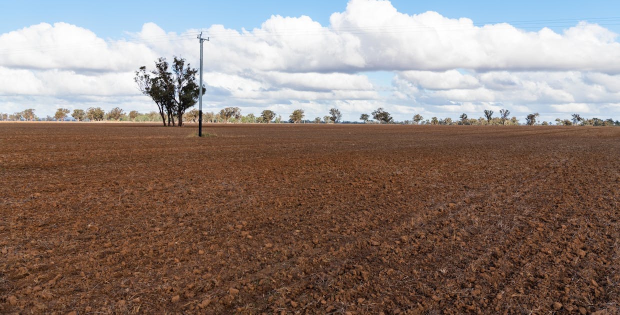 Young, NSW, 2594 - Image 12