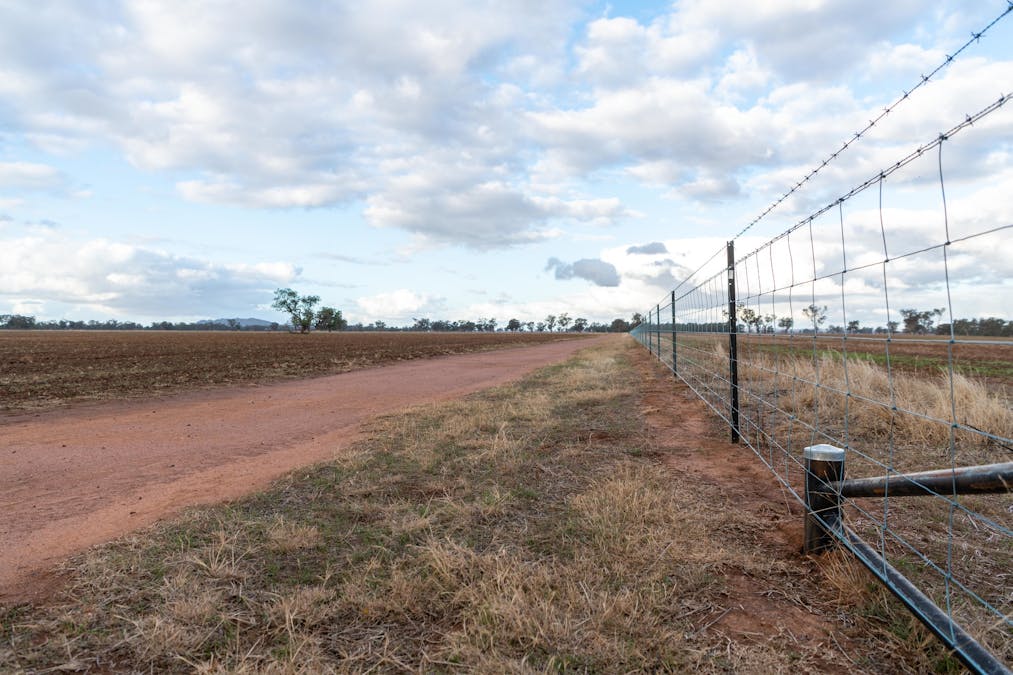 Young, NSW, 2594 - Image 14