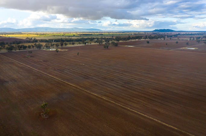 Young, NSW, 2594 - Image 1