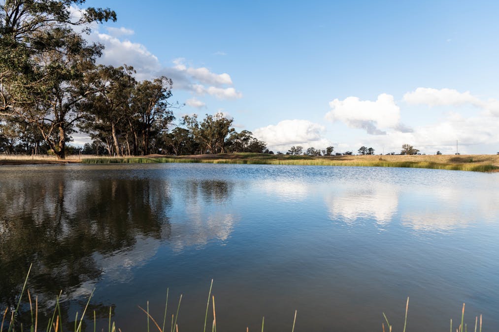 Young, NSW, 2594 - Image 2