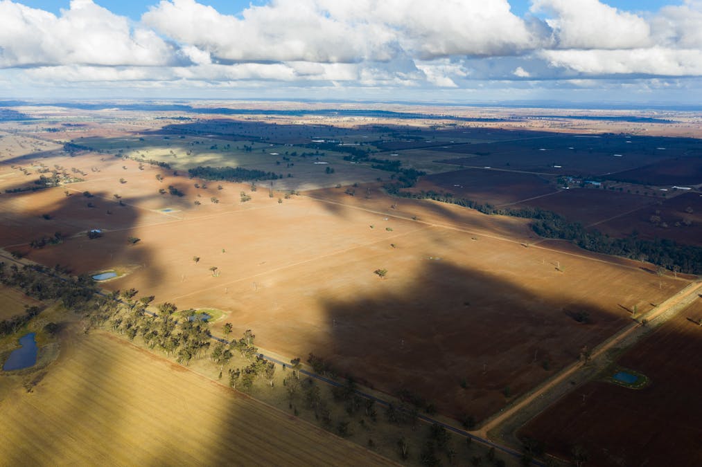 Young, NSW, 2594 - Image 4