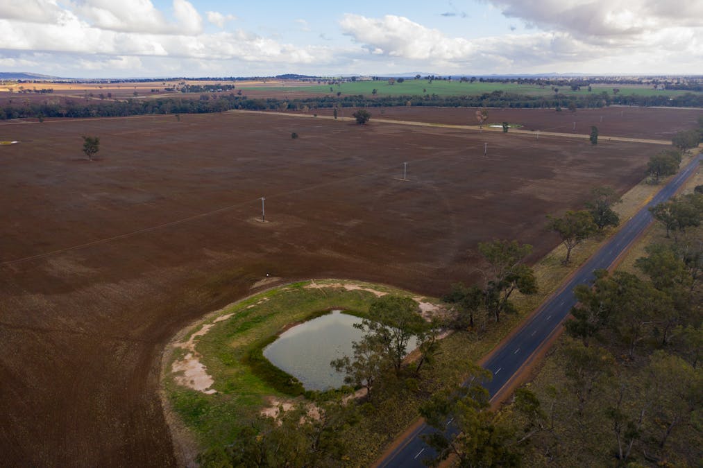 Young, NSW, 2594 - Image 5