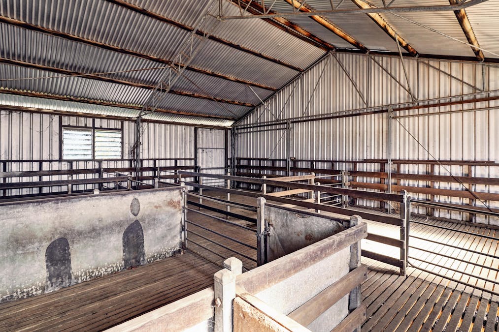 Quandialla, NSW, 2721 - Image 12