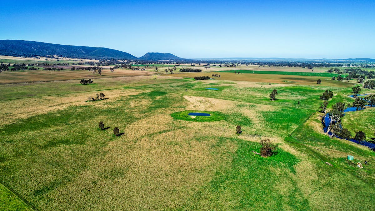 Young, NSW, 2594 - Image 6