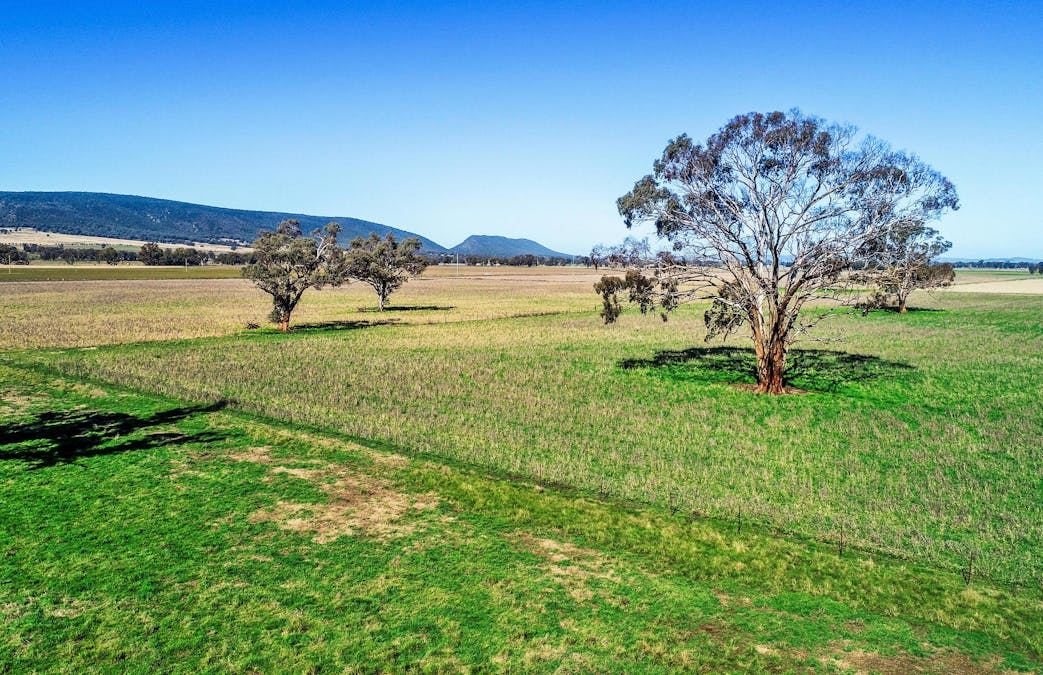 Young, NSW, 2594 - Image 7