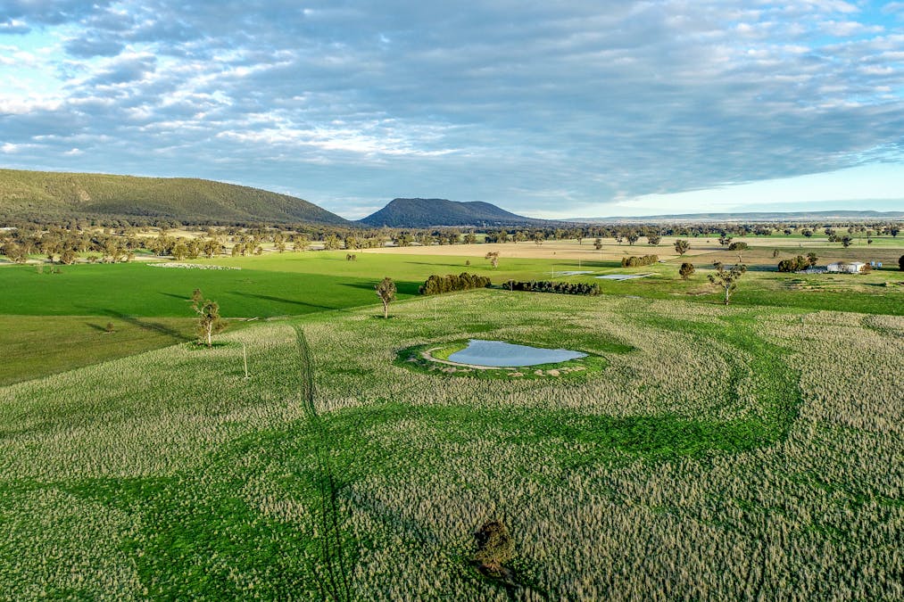 Young, NSW, 2594 - Image 8