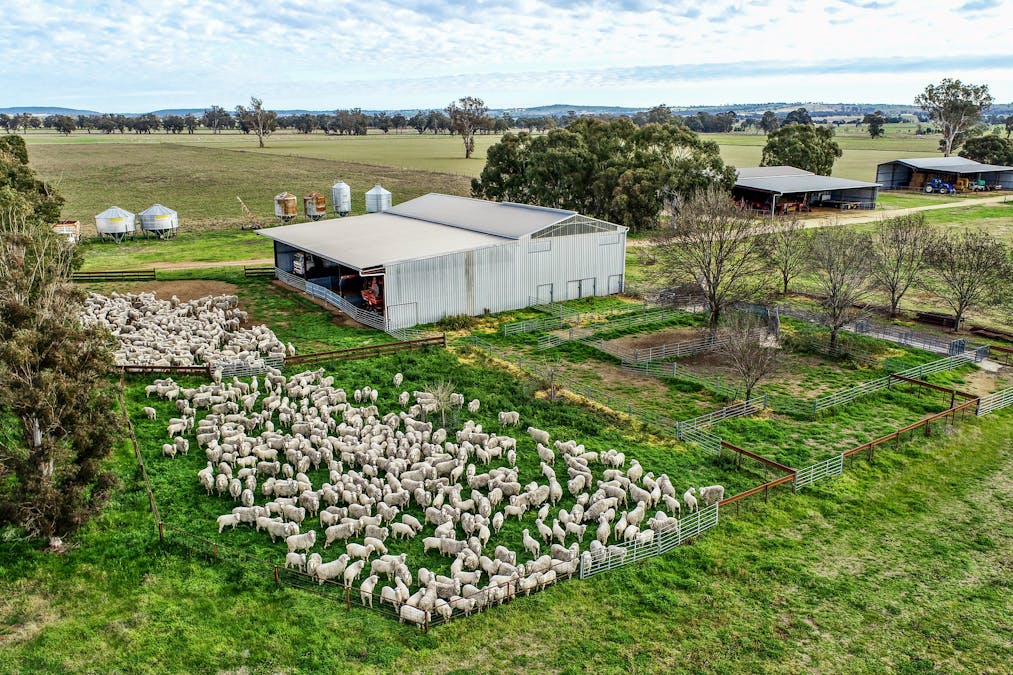 Young, NSW, 2594 - Image 10