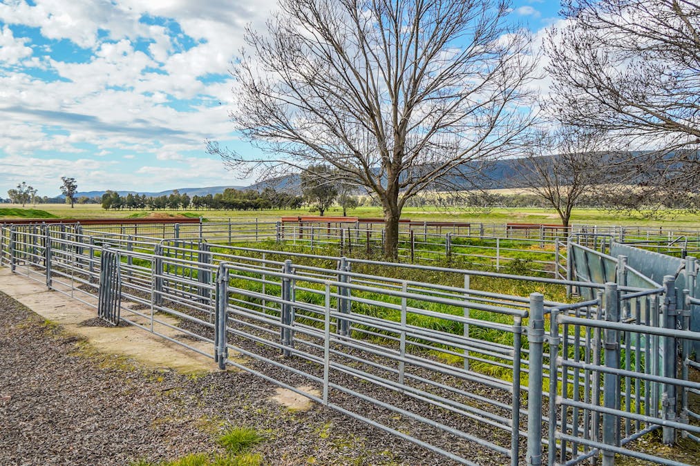 Young, NSW, 2594 - Image 11