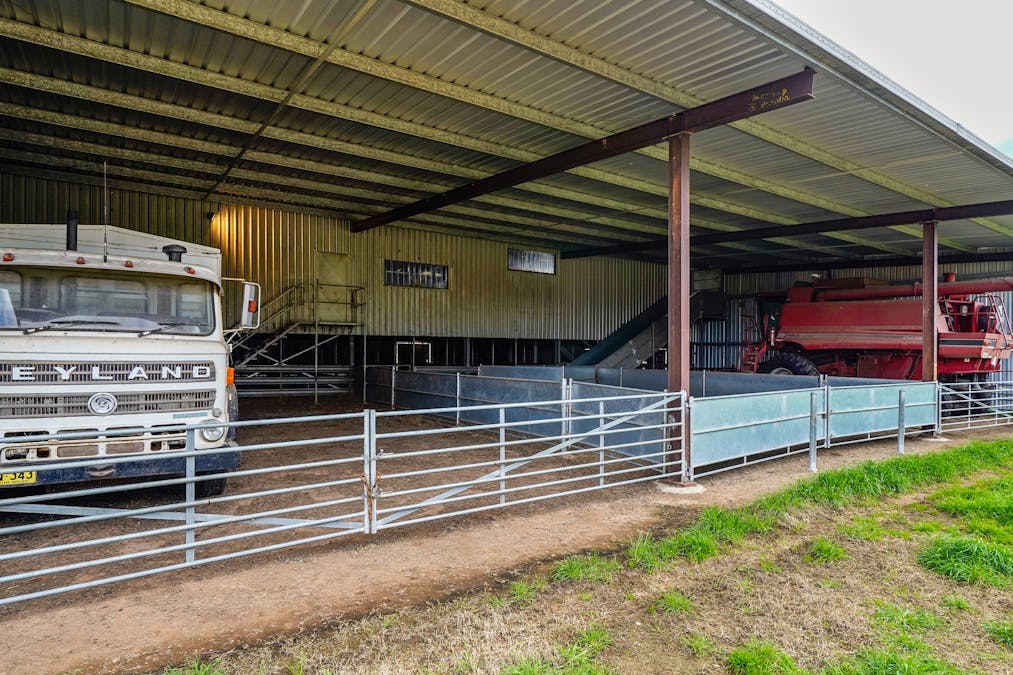 Young, NSW, 2594 - Image 13