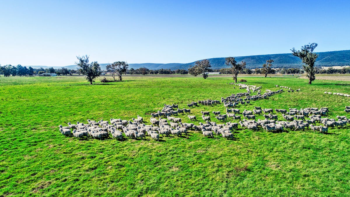 Young, NSW, 2594 - Image 22