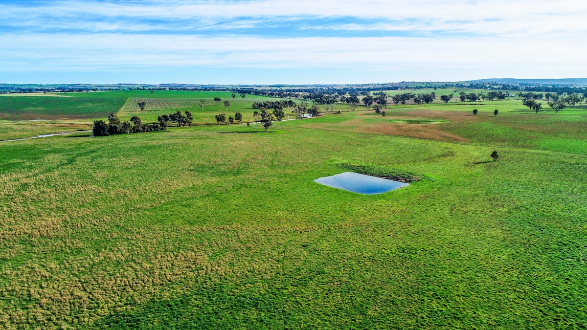 Young, NSW, 2594 - Image 23