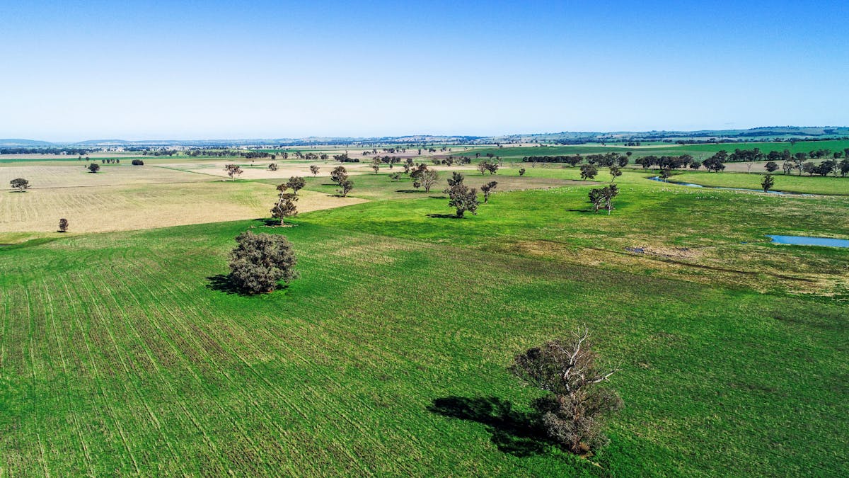 Young, NSW, 2594 - Image 24