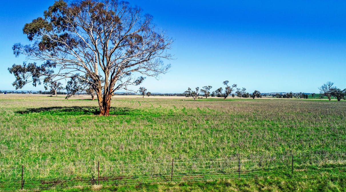 Young, NSW, 2594 - Image 26