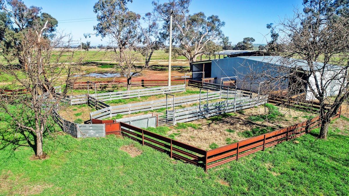 Young, NSW, 2594 - Image 28