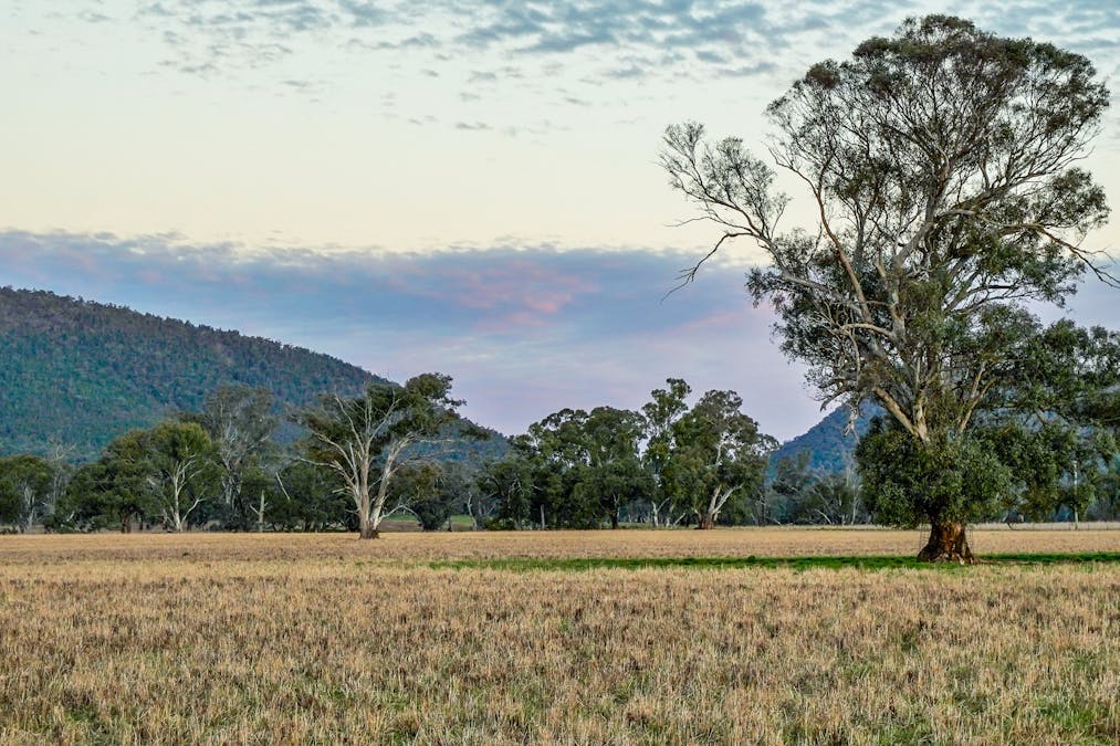 Young, NSW, 2594 - Image 30