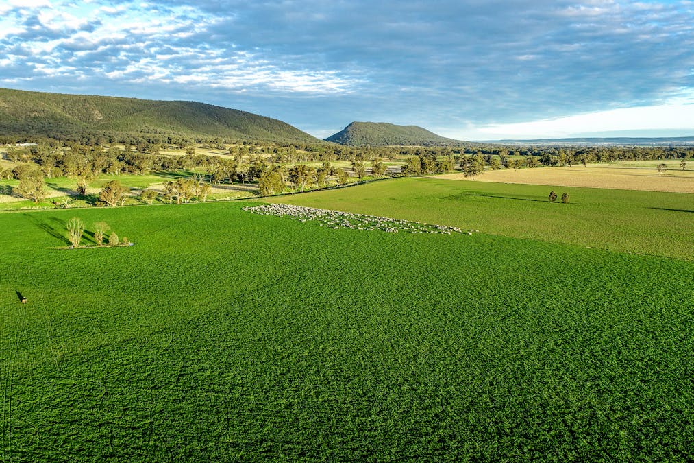 Young, NSW, 2594 - Image 2