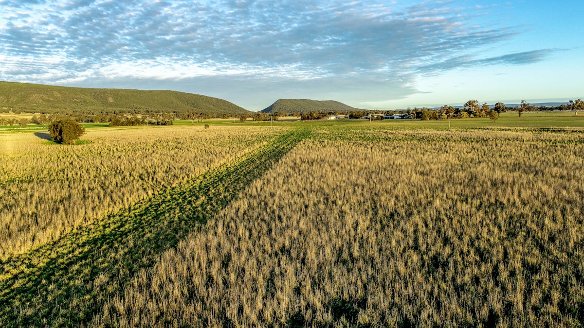 Young, NSW, 2594 - Image 4