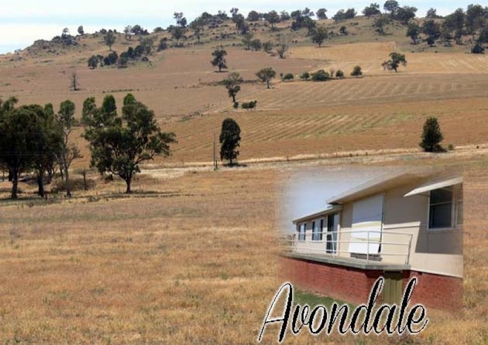 Avondale Canowindra Road, Cowra, NSW, 2794 - Image 1