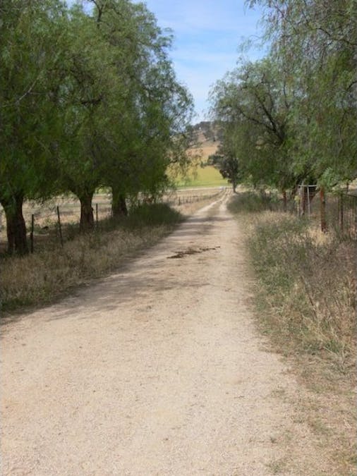 Avondale Canowindra Road, Cowra, NSW, 2794 - Image 3