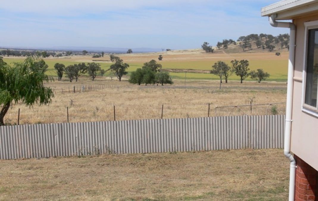 Avondale Canowindra Road, Cowra, NSW, 2794 - Image 4