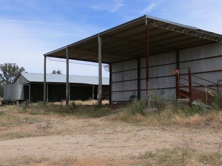 Avondale Canowindra Road, Cowra, NSW, 2794 - Image 6
