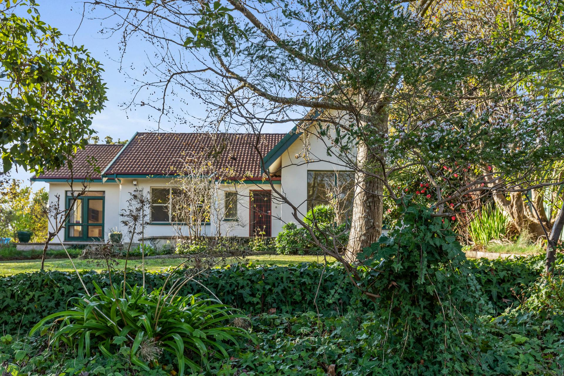 37 North Terrace, Mount Gambier, SA, 5290 Sold Elders Real Estate