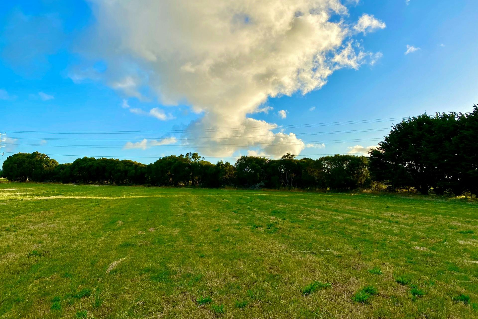 Princes Highway, Camperdown, VIC, 3260 Sold Elders Real Estate