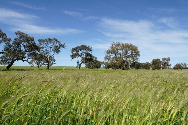 2409 MortlakeArarat Road, Woorndoo, VIC, 3272 Sold Elders Real Estate