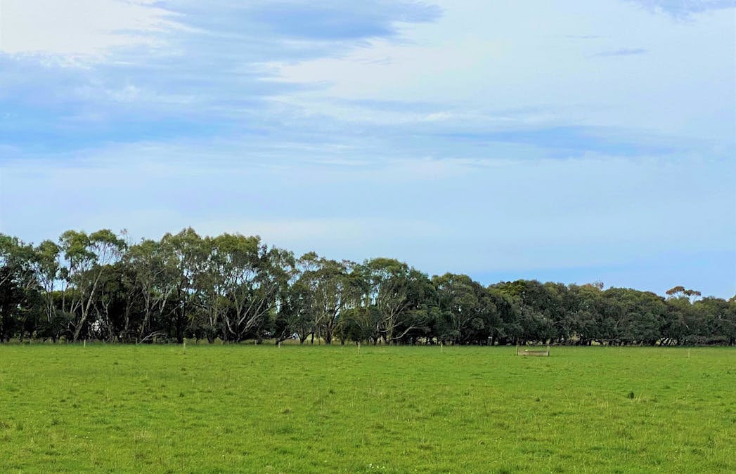 - Bend Road, Terang, VIC, 3264 - Image 4