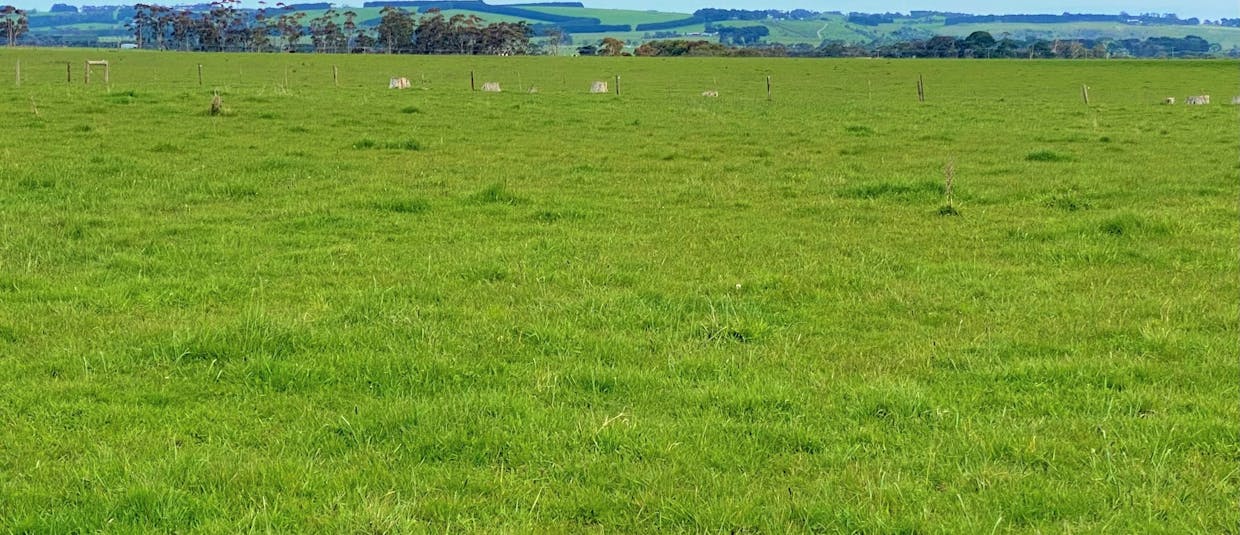 - Bend Road, Terang, VIC, 3264 - Image 5