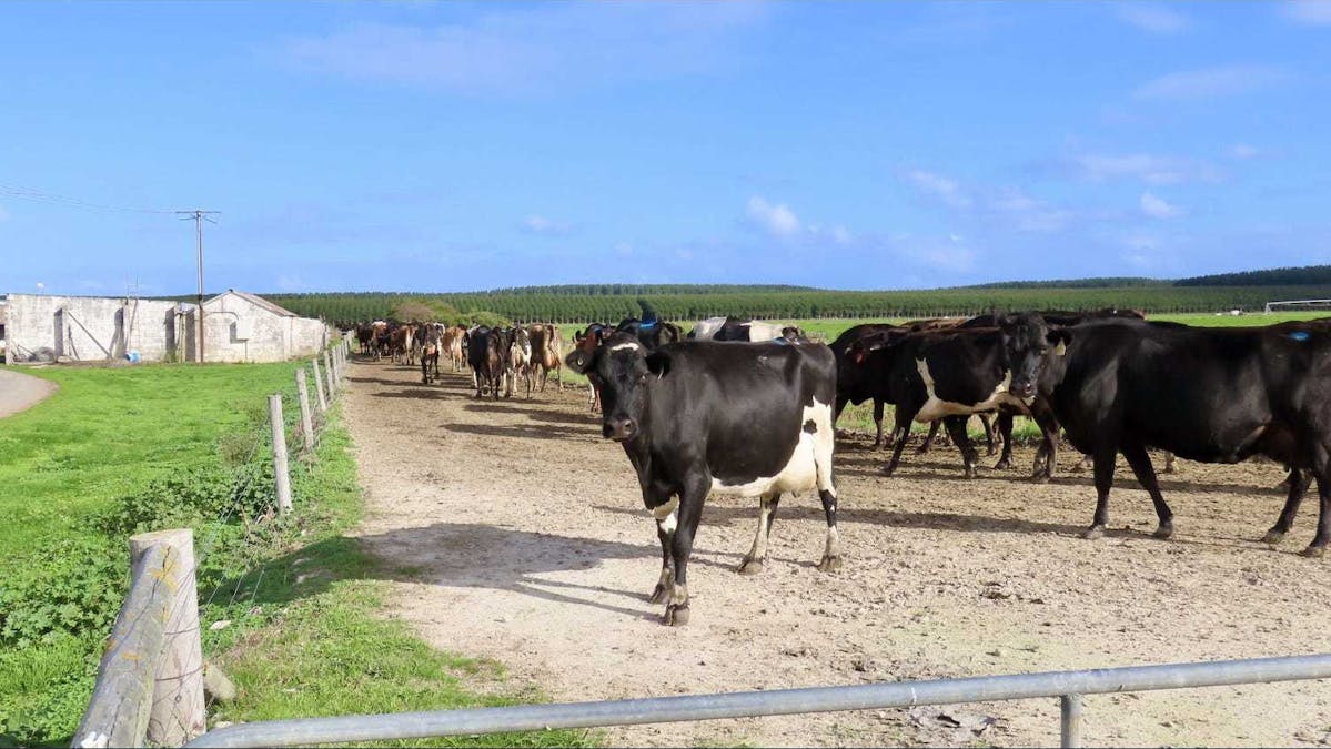 54 Waters Road, Kongorong, SA, 5291 - Image 12