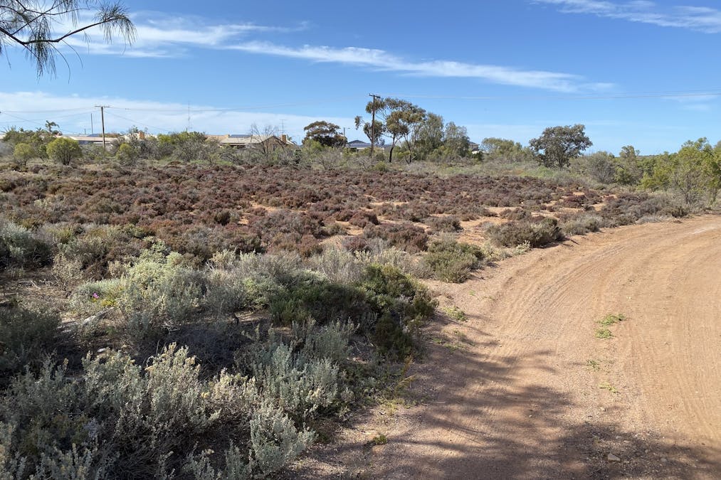 Lot 1 Newton Street, Whyalla, SA, 5600 - Image 6