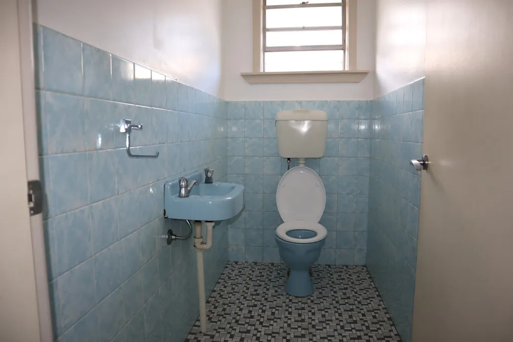 226 Keppel Street, Bathurst, NSW, 2795 - Image 8