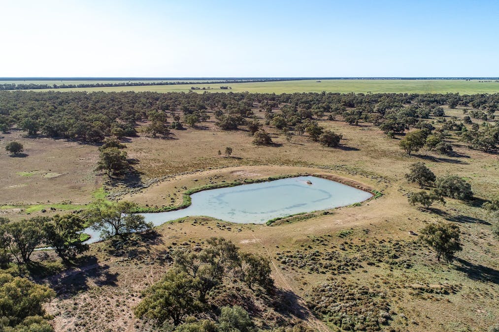 256 Cockies Road, Buddabadah, NSW, 2825 - Image 6