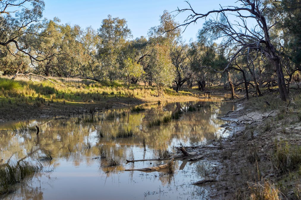 256 Cockies Road, Buddabadah, NSW, 2825 - Image 8