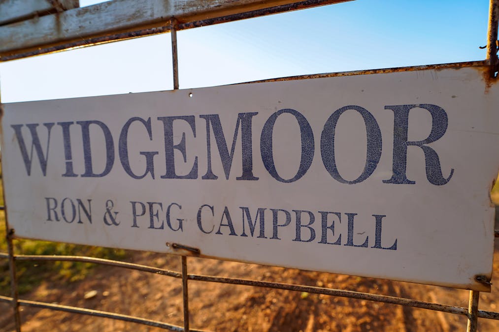 256 Cockies Road, Buddabadah, NSW, 2825 - Image 5