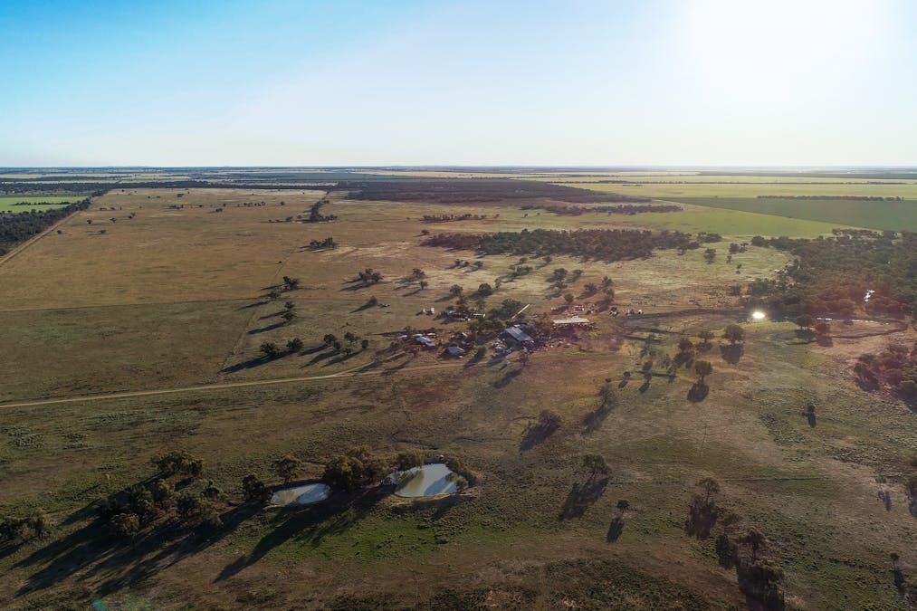 256 Cockies Road, Buddabadah, NSW, 2825 - Image 10