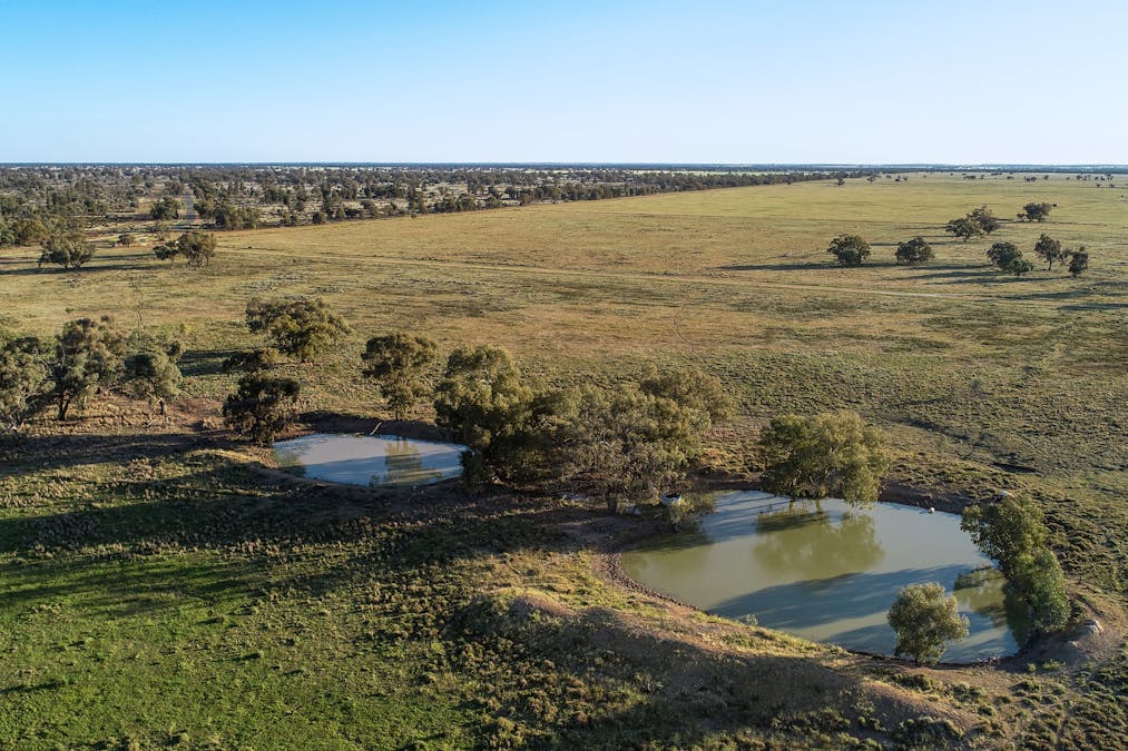 256 Cockies Road, Buddabadah, NSW, 2825 - Image 3