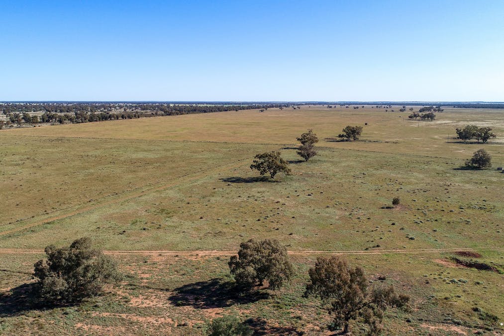 256 Cockies Road, Buddabadah, NSW, 2825 - Image 4