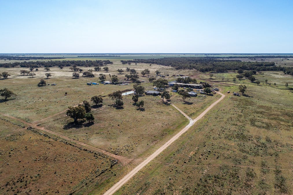 256 Cockies Road, Buddabadah, NSW, 2825 - Image 11