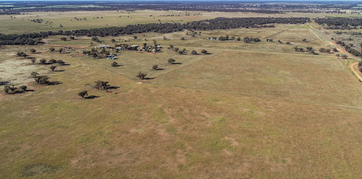 256 Cockies Road, Buddabadah, NSW, 2825 - Image 12