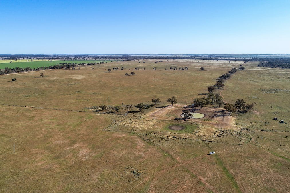 256 Cockies Road, Buddabadah, NSW, 2825 - Image 13