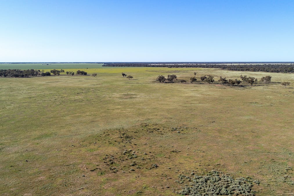 256 Cockies Road, Buddabadah, NSW, 2825 - Image 15