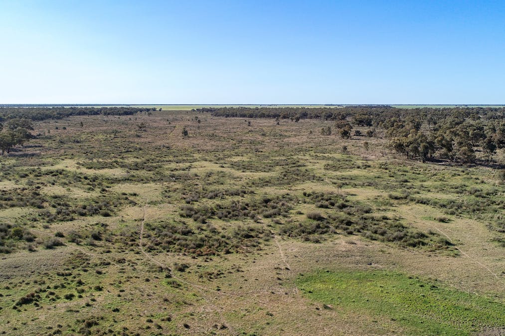 256 Cockies Road, Buddabadah, NSW, 2825 - Image 18