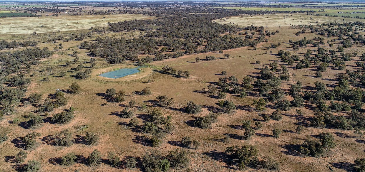 256 Cockies Road, Buddabadah, NSW, 2825 - Image 22