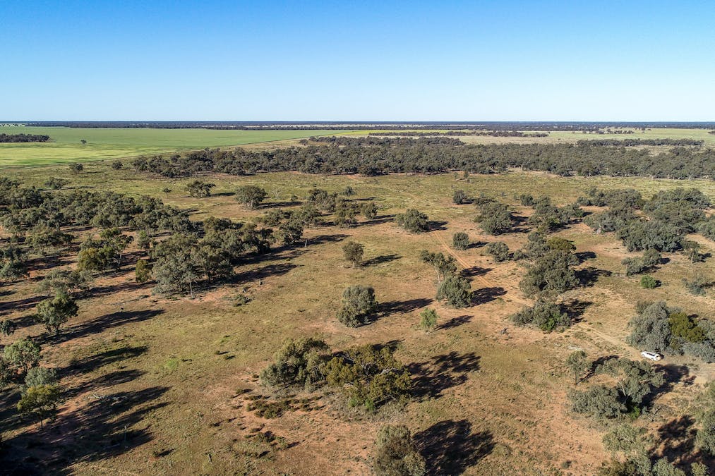 256 Cockies Road, Buddabadah, NSW, 2825 - Image 25